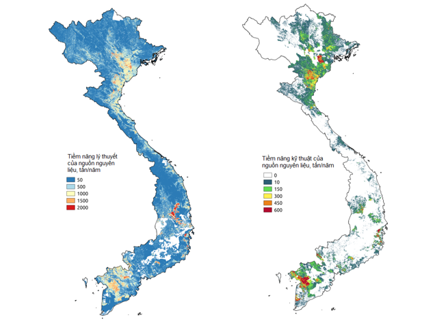 Năng lượng sinh khối (Biomass) - Nguồn Năng Lượng Tương Lai Bền Vững